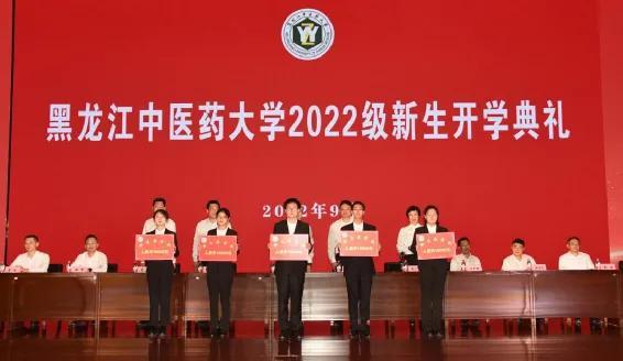 黑龙江,地理、历史与文化的深度探析