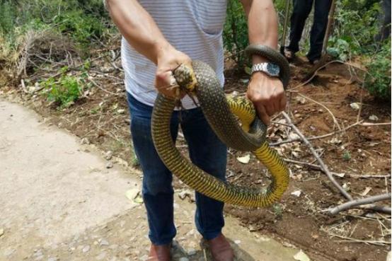 河南，多元文化的深度解读