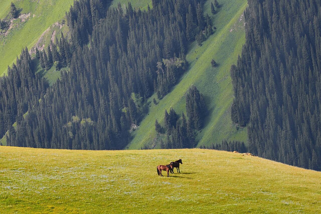 新疆,千年文化瑰宝的梦幻西域之旅🌟